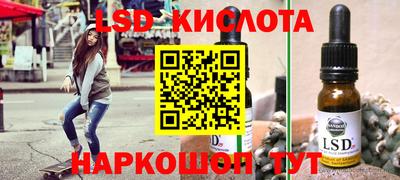 PSILOCYBIN Моздок