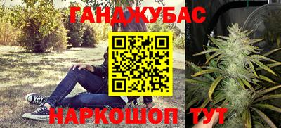 PSILOCYBIN Моздок