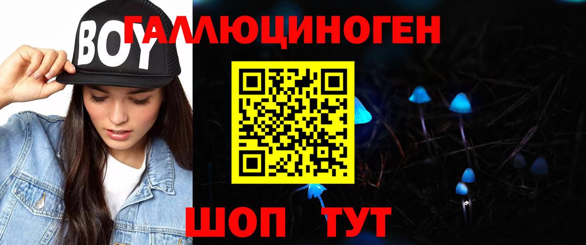 Шарыпово  Галлюциногенные грибы ЛСД  Вход с VPN  Псилоцибиновые грибы прущие грибы 